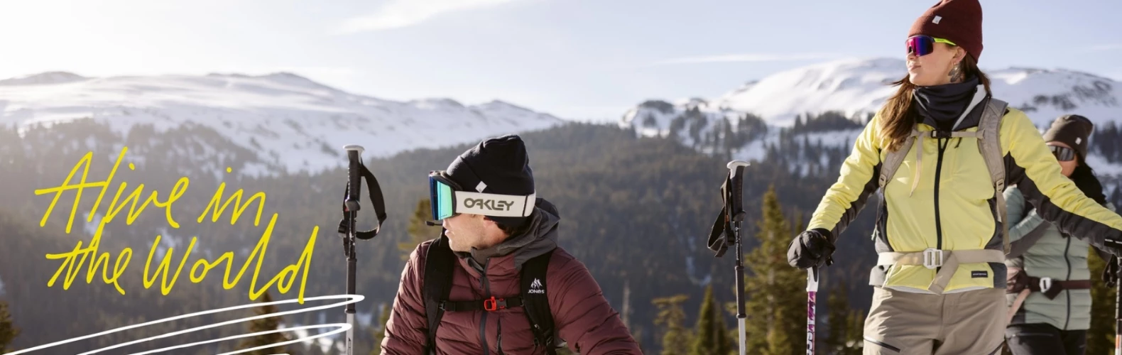 ARTILECT winkel -ARTILECT winkel 0.23