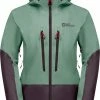 Jack Wolfskin Alpspitze 3L Jacket Women, Groen/violet -ARTILECT winkel jack wolfskin alpspitze 3l jacket women granite green 1