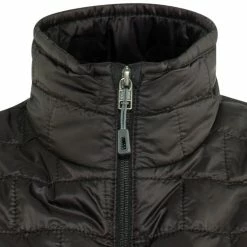 Patagonia Nano Puff Bodywarmer Dames -ARTILECT winkel patagonia nano puff vest women black 4