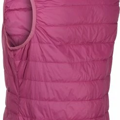 Regatta Hillpack Bodywarmer Vest Women, Zwart 9 Regatta Hillpack Bodywarmer Vest Women, Zwart -ARTILECT winkel regatta hillpack bodywarmer vest women amaranth haze 4