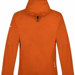 SALEWA Puez GTX Paclite Jacket Men, Geel -ARTILECT winkel salewa puez gtx paclite jacket men autumnal 3